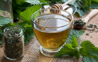 A cup of nettle tea with fresh and dry nettles